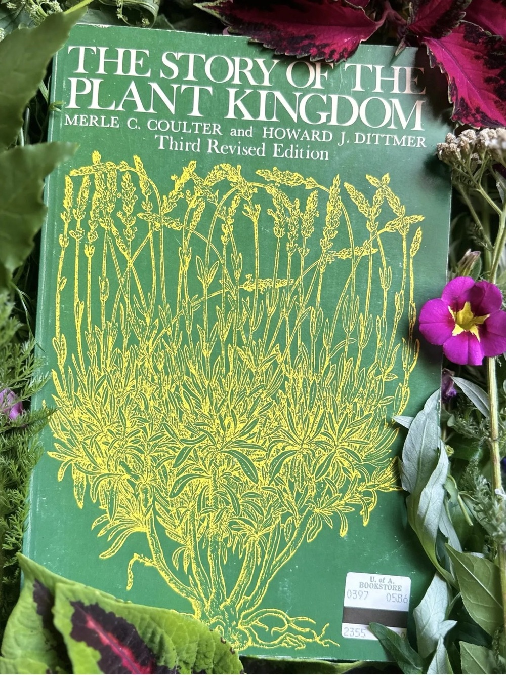 The Story of the Plant Kingdom Rare University Press Softcover Book